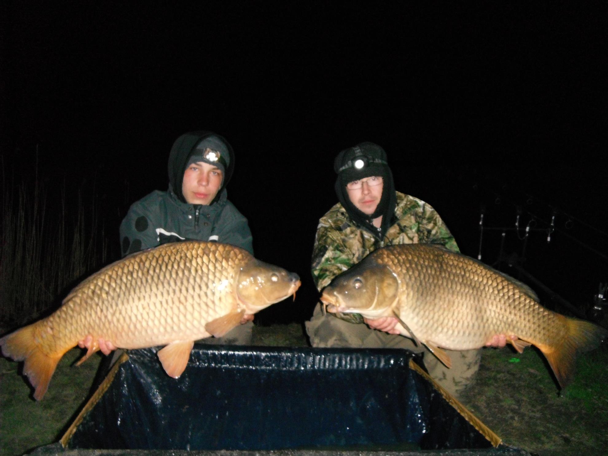 Martie 2013 - Harsany - Martie 2013